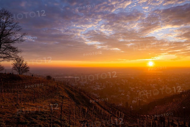 Sunset at the Bismarkturm, Radebeul, Saxony, Germany