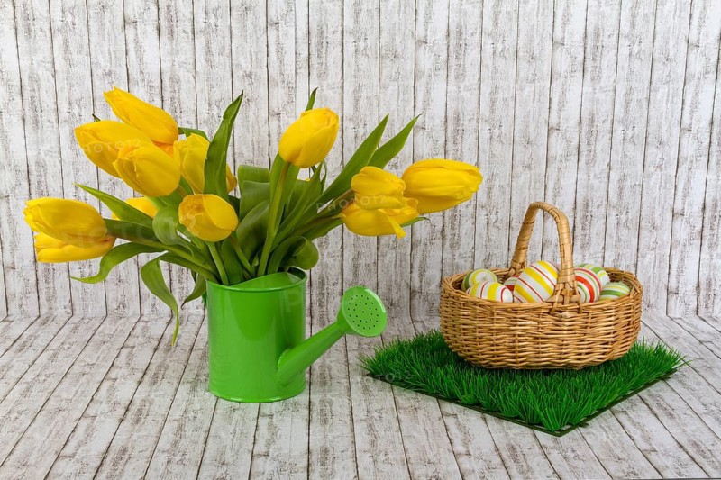 Yellow tulips with Easter eggs on a textured background