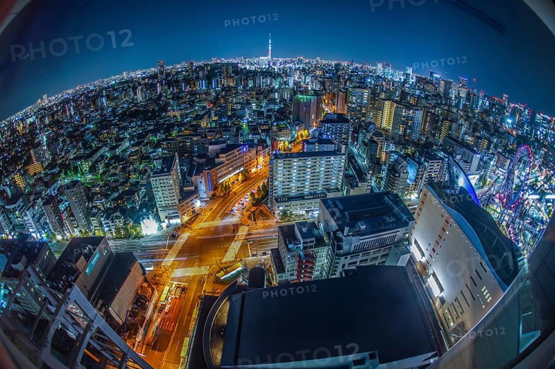 Tokyo night view (from Bunkyo Civic Center). Shooting Location: Tokyo metropolitan area