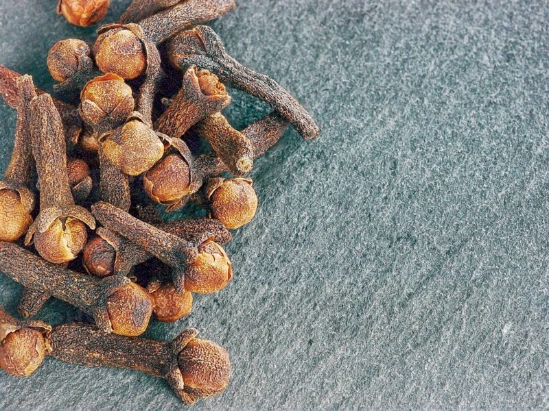 Cloves spice on gray slate background with copy space. Isolated one edge. Top view or flat lay