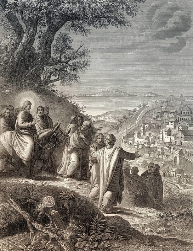 Jesus riding a donkey to Jerusalem, New Testament, steel engraving 1853, digitally restored