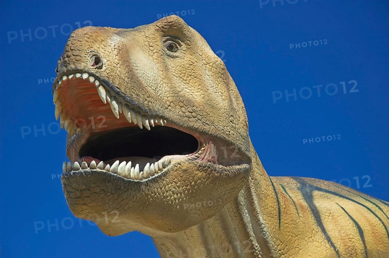 Germany, Hesse, Frankfurt/Main, Senckenberg Museum, Tyrannosaurus Rex, Frankfurt/Main, Hesse, Germany