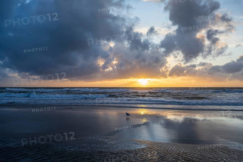 Sea level at sunrise with clouds and orange sky, North Sea, Texel