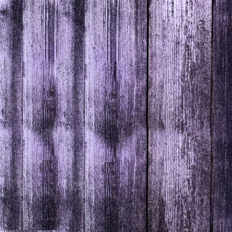 Purple painted wood planks showing knots and grain creating a rustic background.Belarus