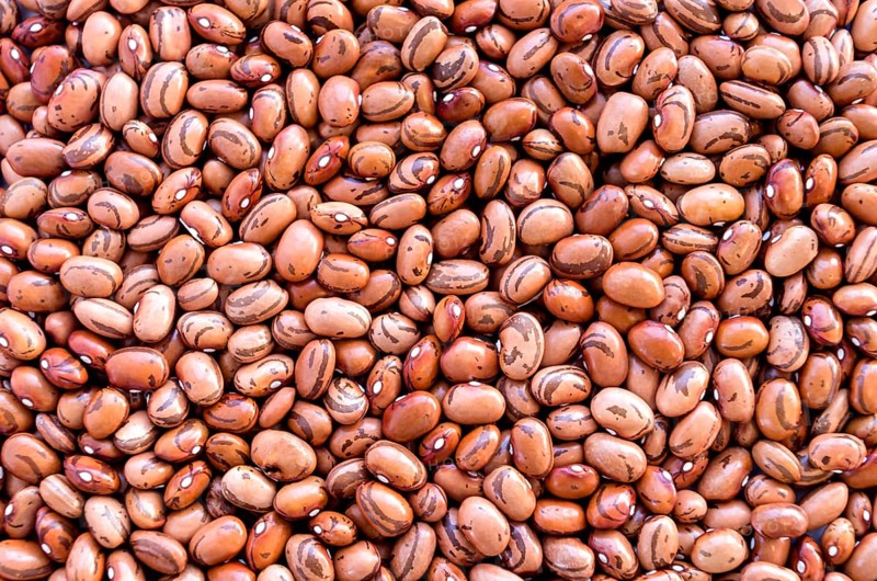 Beans of bean (beans). Background of many grains of dried beans. Brown beans texture. Food background. Close up. Bean background and textured. Background of brown bean.