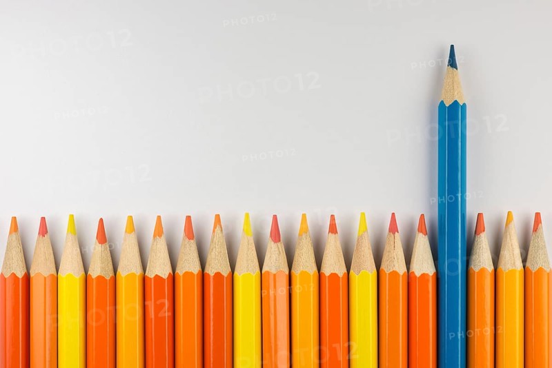 Abstract composition of a set wooden colour pencils against a white background