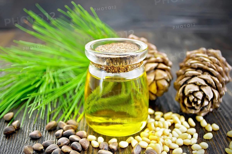 Cedar oil in a glass jar, two cedar cones, nuts and green twigs on a dark wooden board background