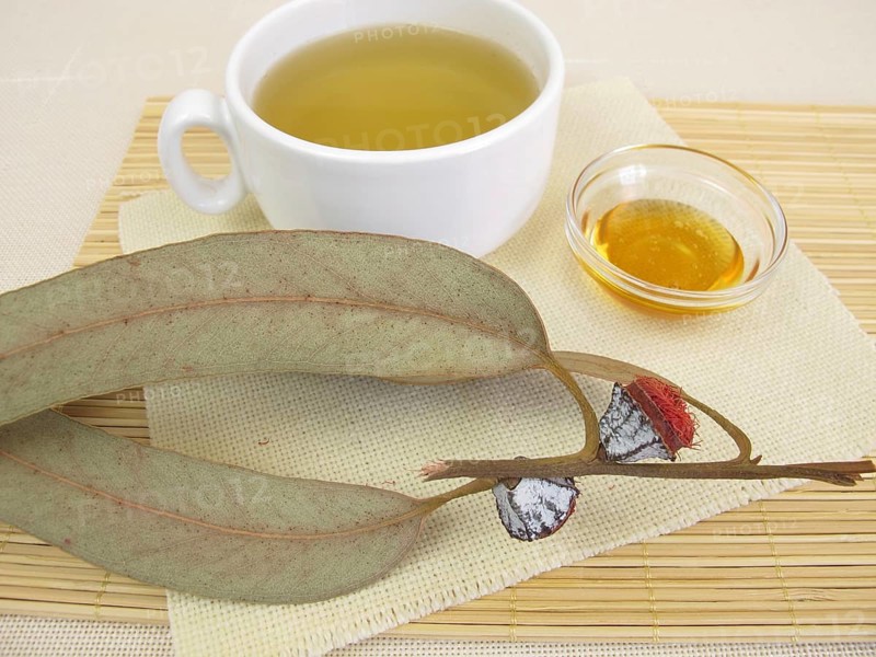 Eucalyptus tea with honey