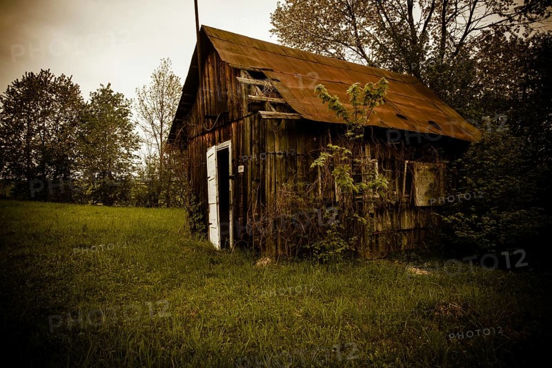 Old abandones lonely house near the forest