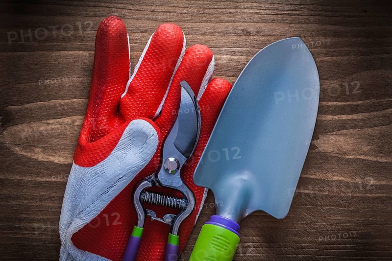 Protective glove steel gardening secateurs and trowel agriculture concept