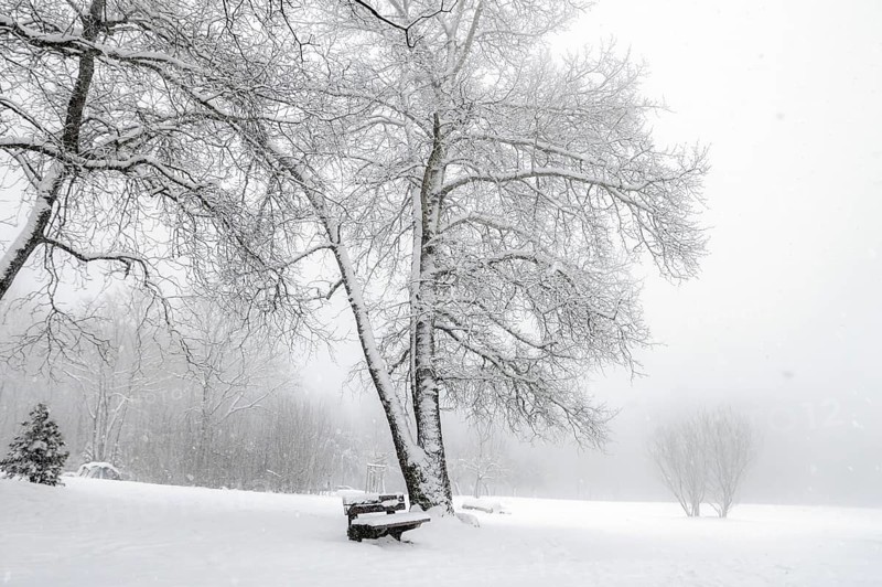 Winter scenery with snowflakes falling over an empty park, leafless trees, wooden bench and a thick layer of snow, near Schwabisch Hall, Germany