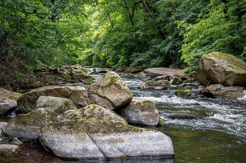 The Bode River Landscape Experience Bodetal