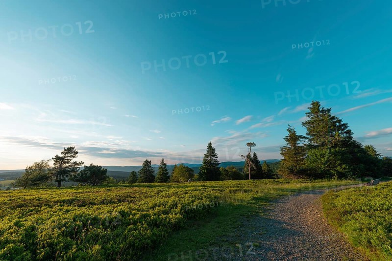 German beauty Rothaargebirge