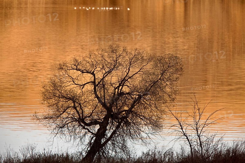 Saskatchewan Lake in Autumn Buffalo Pound Canada