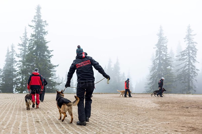 Sofia, Bulgaria - April 20, 2016: Men and their dogs at the search and rescue team at Bulgarian Red Cross are participating in a training in the foggy mountain