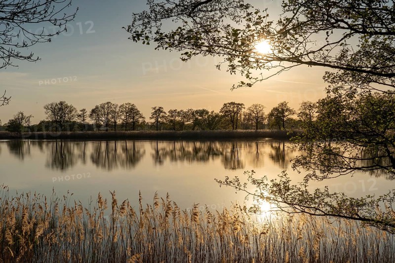 Evening atmosphere in the Upper Lusatian heath and pond landscape, Guttau pond area 4