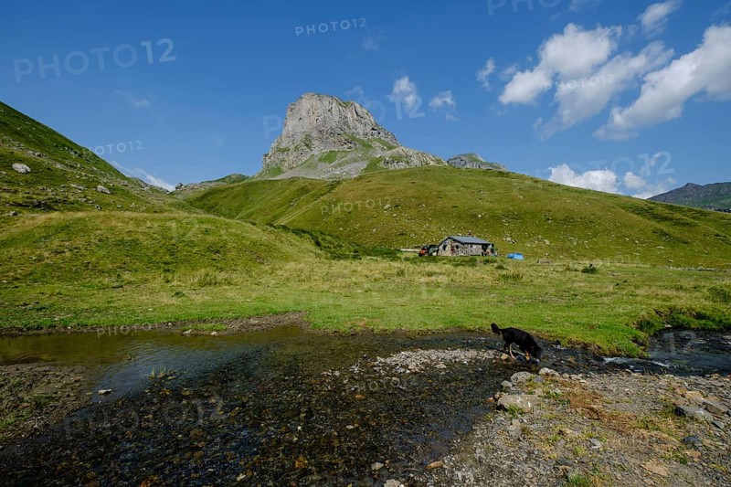 Lous Québottes sheep farm, Ayous lakes tour, Pyrenees National Park, Pyrenees Atlantiques, France