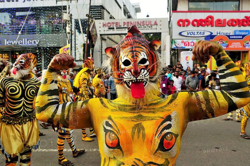 Pulikali Tiger Dance procession, Onam festival, Thrissur, Kerala, India, Asia