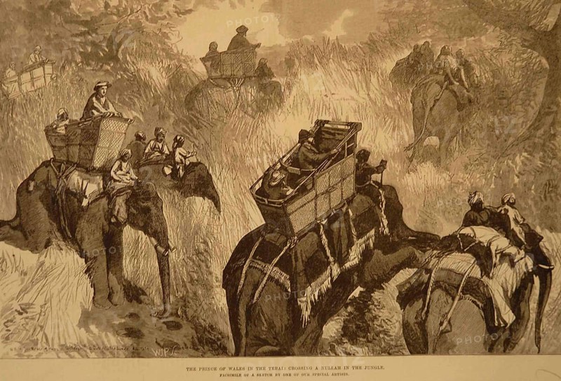 Lithographs The Prince of Wales in Terai crossing Nullah in Jungle, India