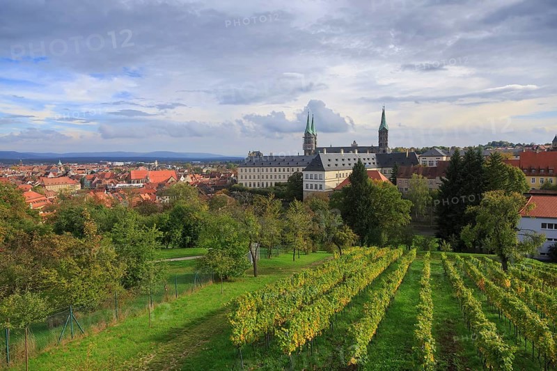 Vineyard and cathedral in Bamberg, Germany