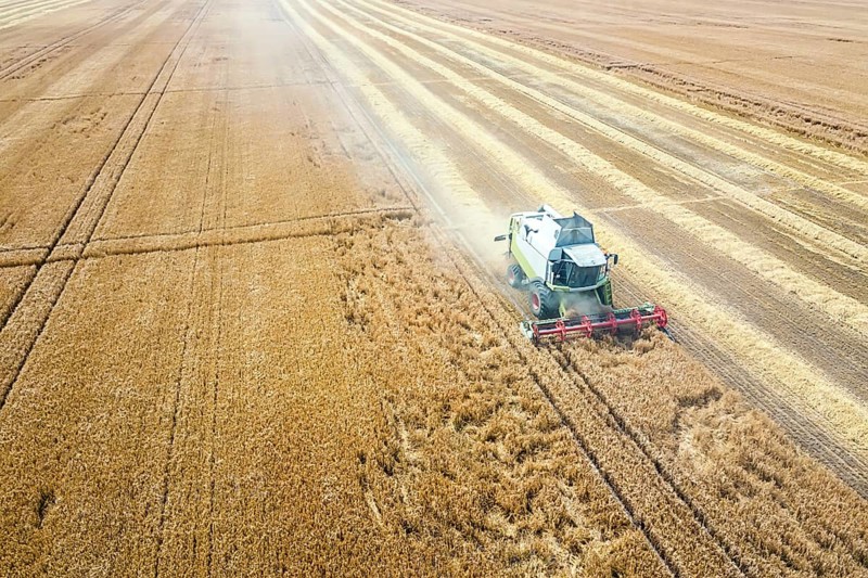 Combine harvester working on a wheat field. Combine harvester Aerial view