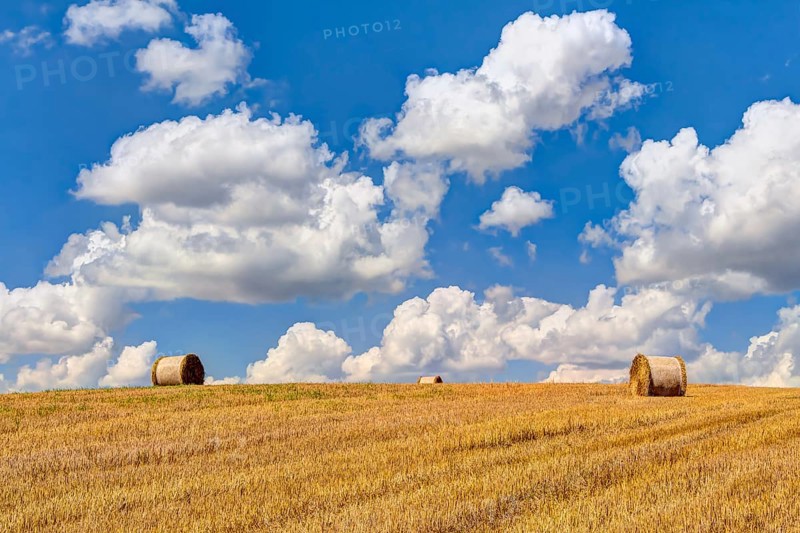 Straw bales at harvest time with blue sky and white clouds
