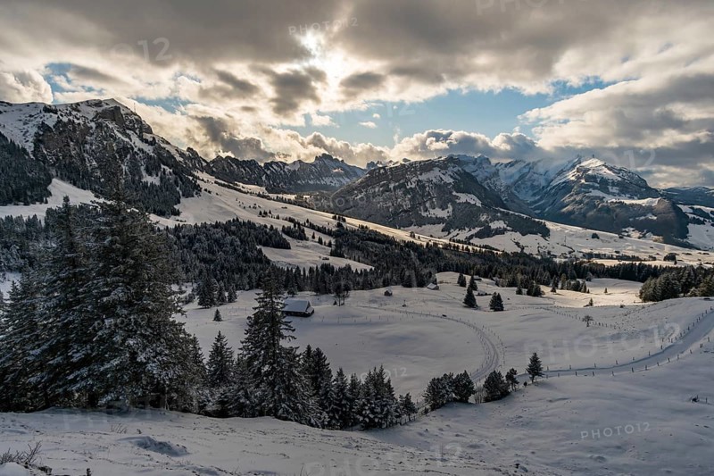 Wonderful winter hike from Restaurant Eggli over the Forstseeli and Diepoldsauer sponge to the Fahnerenspitz in the Appenzeller Land in Switzerland