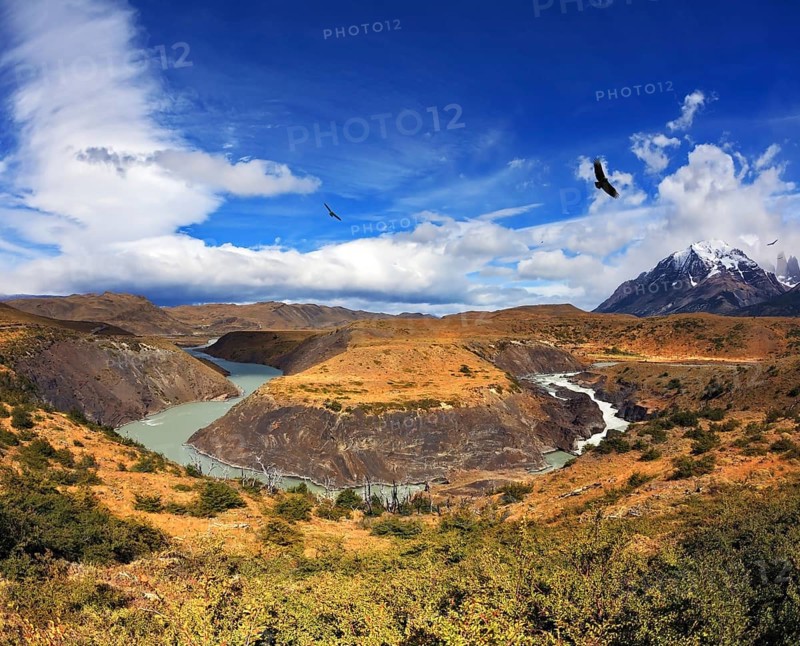 Horseshoe Paine. The national park Torres del Paine, Patagonia, Chile. Paine river bends in a horseshoe shape around the picturesque hills. In the sky, floating giant Andean condor