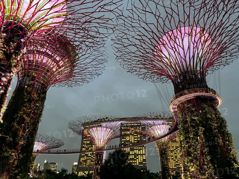 Illuminated supertrees and modern buildings in urban environment at night, living lights, singapore, aisia