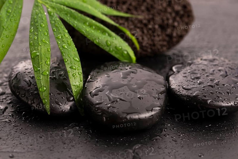Green leaf on spa stone on wet black surface