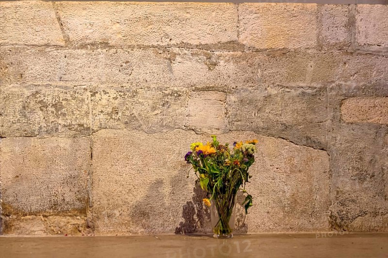 Flowers in front of a stone wall, symbol of decoration, transience Austria