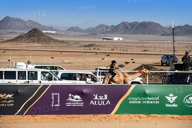 Dwarf jockey rides camel at the Al Ula Camel Cup at Mughayra Heritage Sports Village, Al Ula, Saudi Arabia