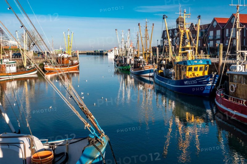 The harbour of Neuharlingersiel, East Frisia, Lower Saxony, fishing boats, fishing cutter, monument, Neuharlingersiel, Lower Saxony, Federal Republic of Germany