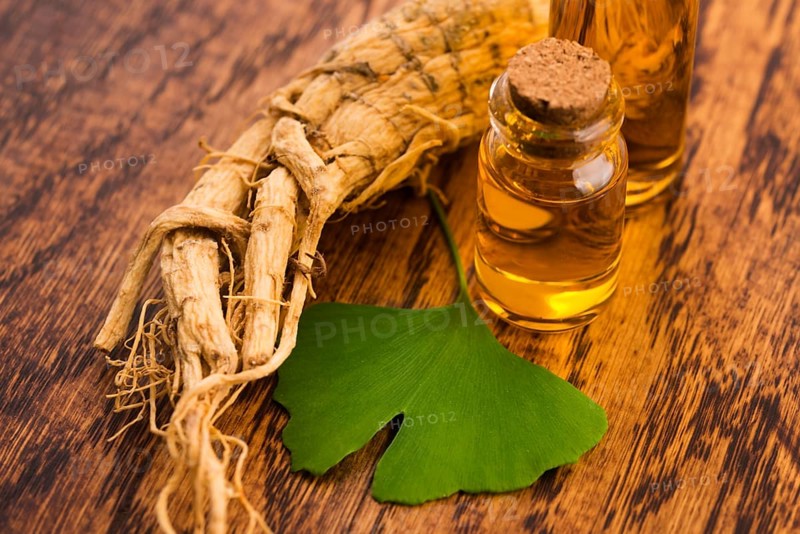 Extract of ginseng root and ginkgo biloba leaves
