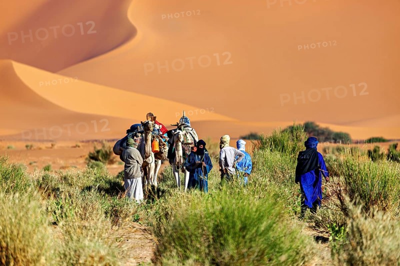 Group of people and camels in a sandy, vegetation-poor desert with high dunes, Tuareg with his camel caravan in the Sahara in Algeria