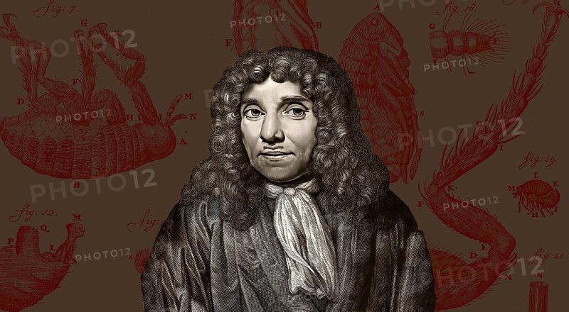 Antonie Philips van Leeuwenhoek, 1632 – 1723, a Dutch microbiologist and microscopist