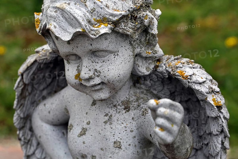 Moat angel