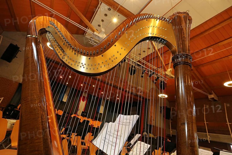 Harp