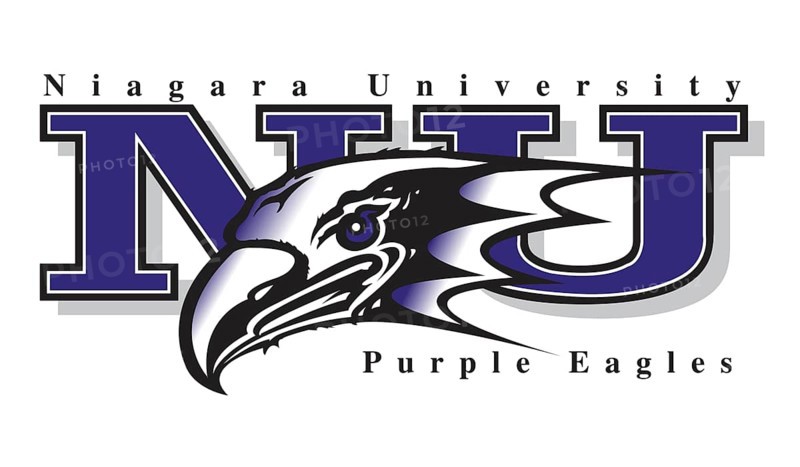 Niagara Purple Eagles logo, American colleges ncaa, Logo