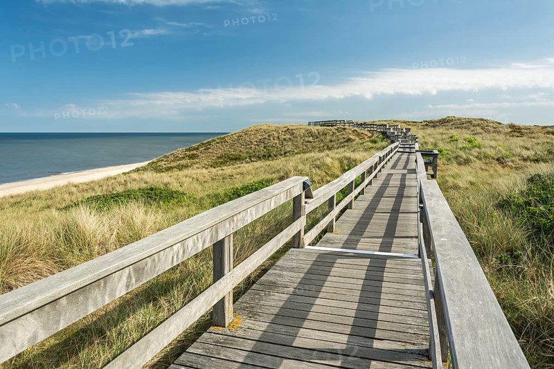 Wooden foot bridge in dune landscape near beach and ocean