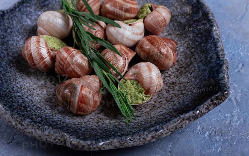 Food, Snails stuffed in Burgundy, on a plate, top view, French cuisine, no people