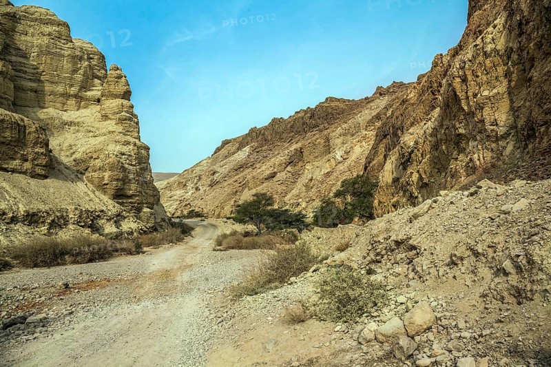 Misty winter day over the Dead Sea. Judean desert. Ancient ruined mountains of solid limestone. Dirt road through the canyon. Israel