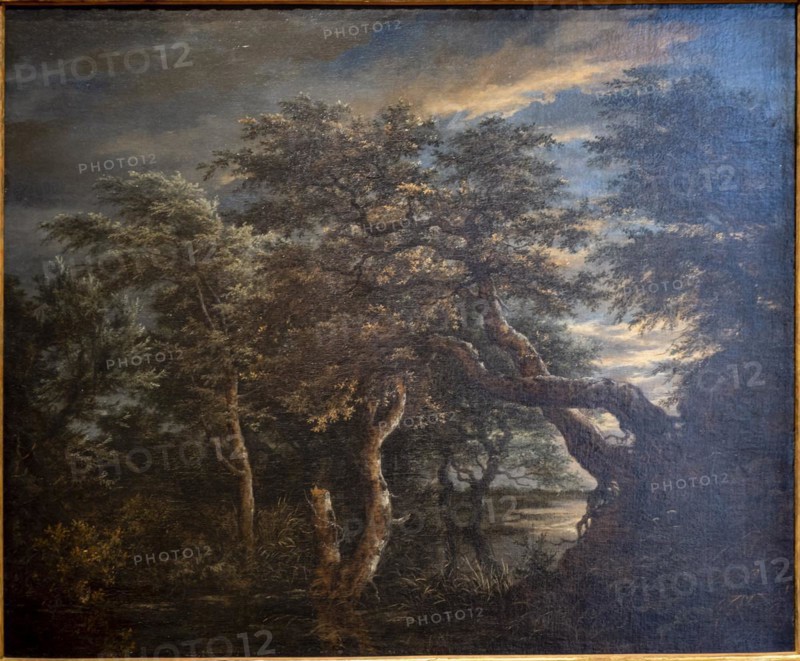 Jacob Isaacksz Van Ruisdael, A marsh in a forest at dusk, 1665, oil on panel, Museo de Bellas Artes, Bilbao, Spain