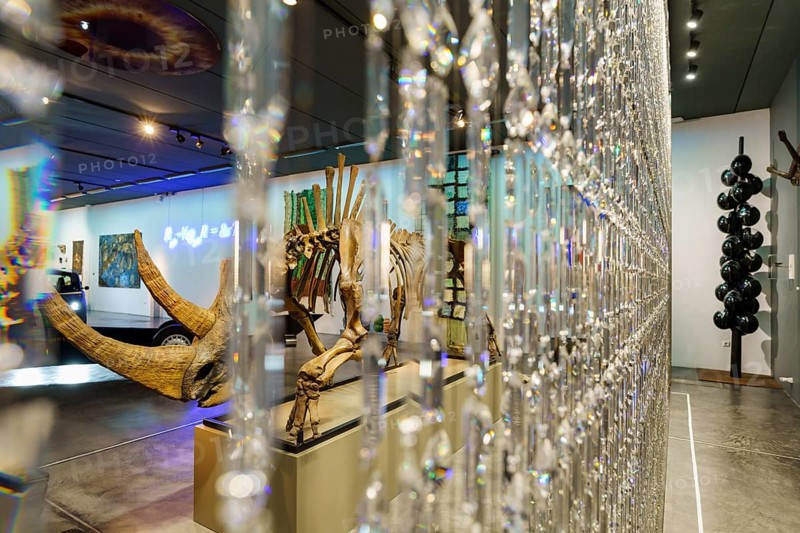 Curtain of Swarovski crystals and fossilized skeleton of Siberian woolly rhinoceros (Coelodonta antiquitatis), Sa Bassa Blanca Museum (msbb) Yannick Vu and Ben Jakober, Alcudia, Majorca, Spain