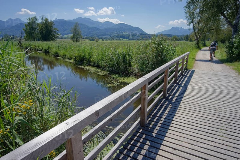 Cycle path in the Bernauer moss, moorland, Kampenwand, Bernau am Chiemsee, Bernau, summer, August, Chiemgau, Chiemgau Alps, Bavaria, Upper Bavaria, Germany