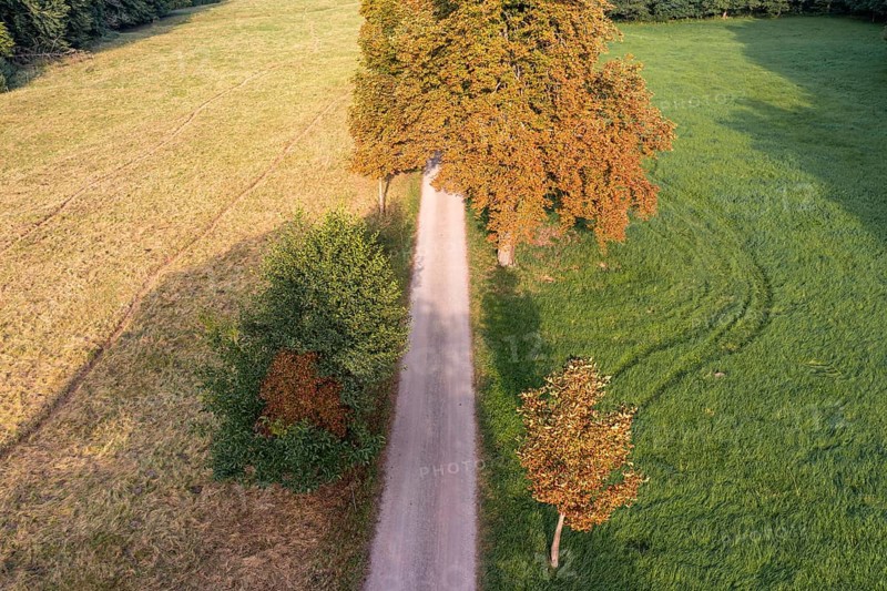 The Selketal valley between Meisdorf and Mägdesprung Selketalstieg natural landscape