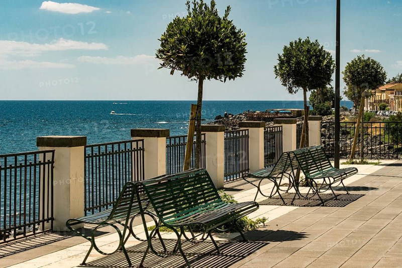 Bench and little trees at the sicilian sea, Italy
