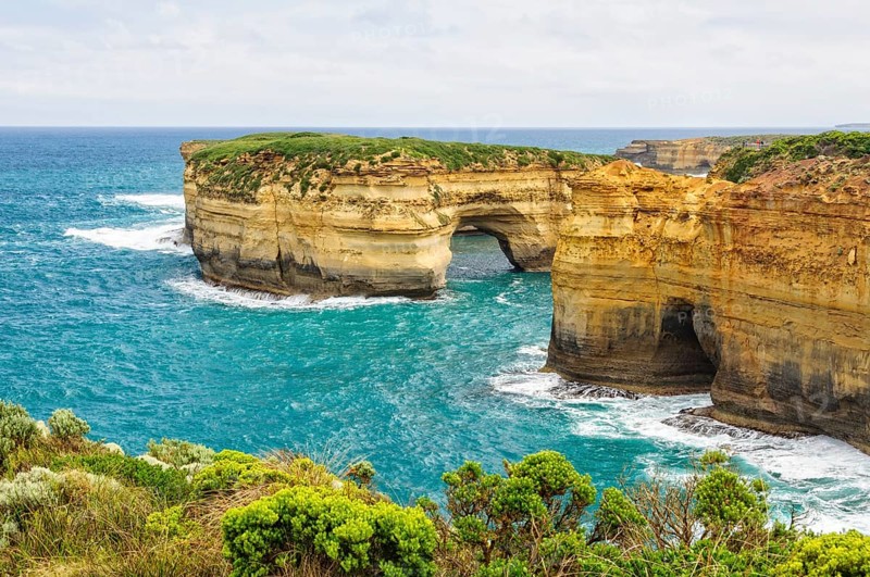 Mutton Bird Island is the home to thousands of short-tailed shearwater from October to April, Port Campbell, Victoria, Australia