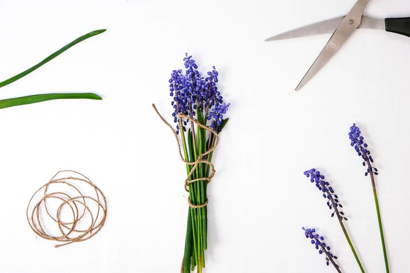 Female hands collect bouquet of blue muscari as a gift. Pruning flowers. Local small business Florist in flower shop. Eco-style. Florist at work workspace. Woman making bouquet