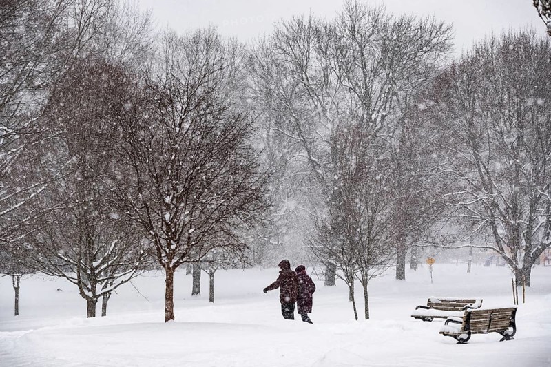 Heavy snow squalls of lake-effect snow falls over Springbank Park in London, Canada. Environment Canada predicted 25-35cm of snow would fall over the region in 24 hours in London, Ontario, Canada, North America
